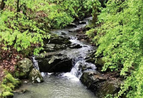 Secluded Home with Mini Waterfall and a Creek in Hot Springs